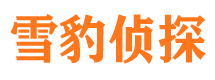 临渭找人公司